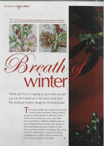 Breath Of Winter Cross Stitch Chart Only