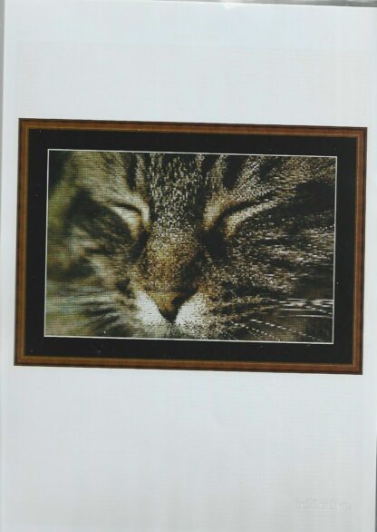 Dozing Tabby Cat Cross Stitch Chart Only