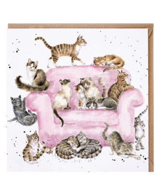 COUNTRY SET CATTITUDE CARD