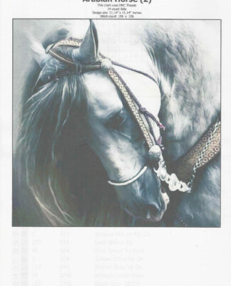 Arabian Horse Dmc Cross Stitch Chart - Chart Only