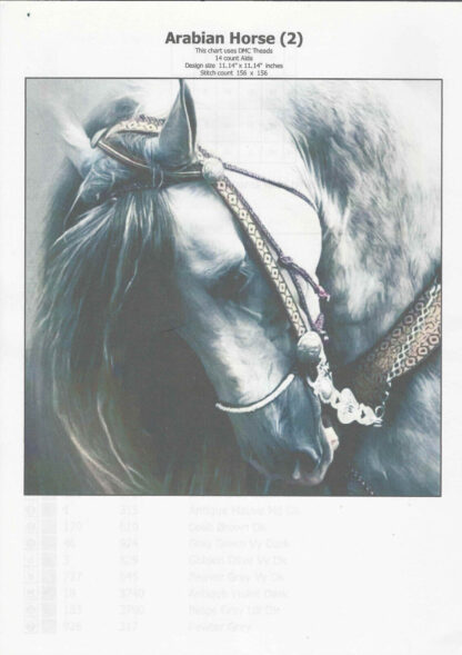 Arabian Horse Dmc Cross Stitch Chart - Chart Only