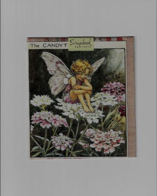 Flower Fairies Blank Card