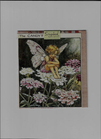 Flower Fairies Blank Card