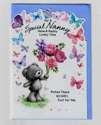 For A Special Nanny Birthday Card