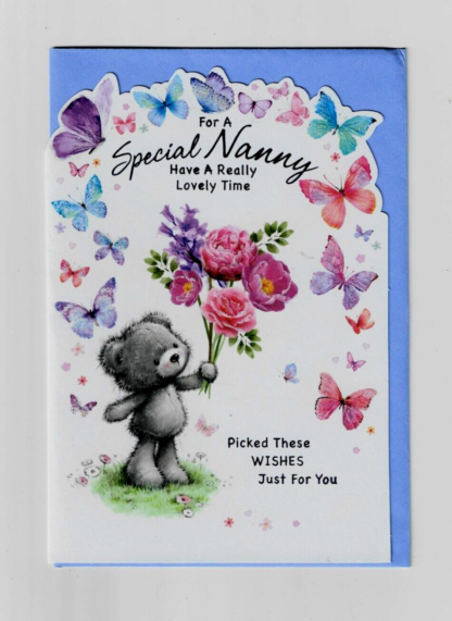 For A Special Nanny Birthday Card