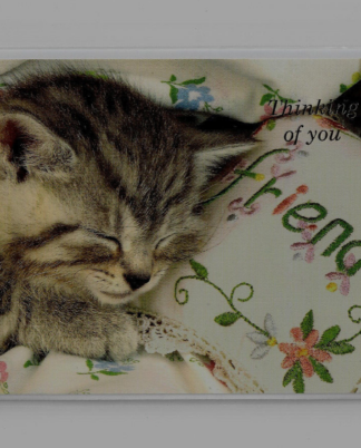 Thinking Of You Friend Card